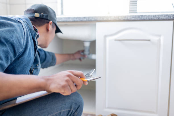 Best Emergency Plumbing Repair  in Mount Morris, IL